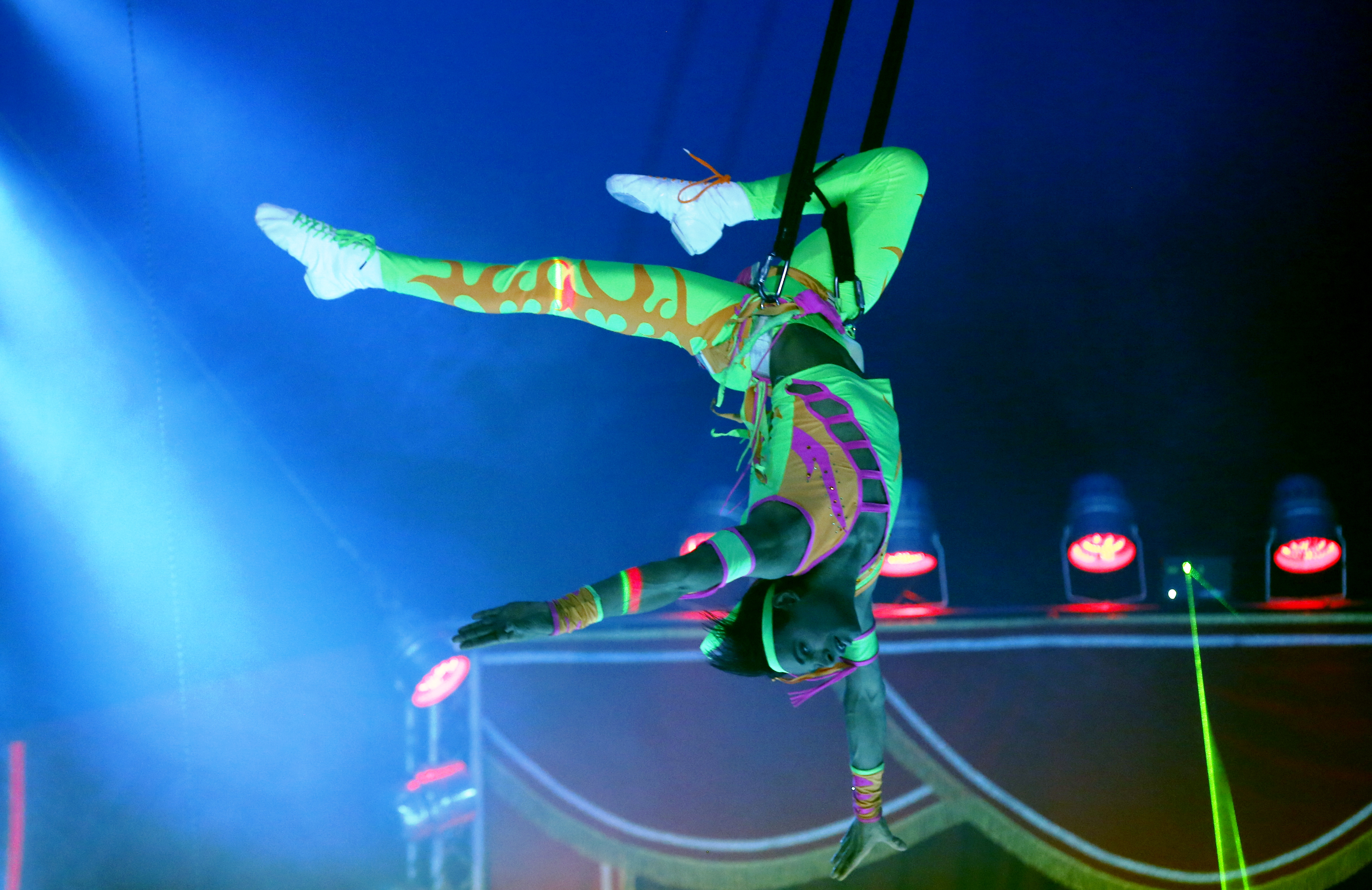 David Hammarberg - rk10549