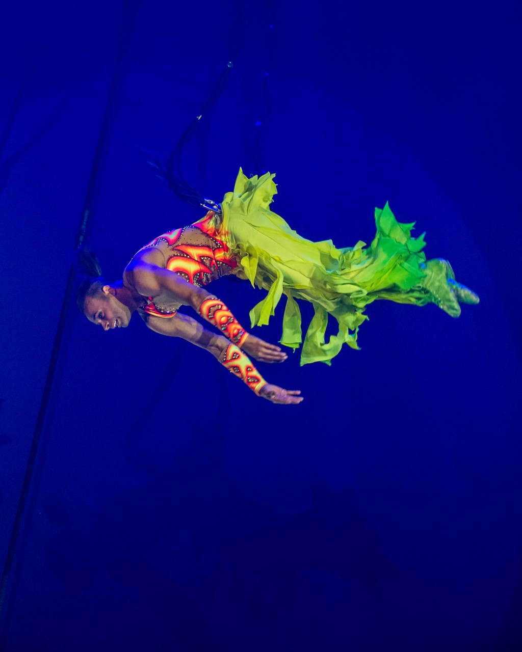 David Hammarberg - 1452