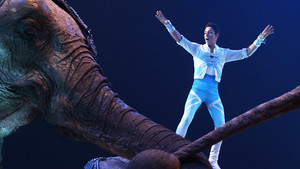 Festival International du Cirque 2017 - Numéro Casselly éléphants